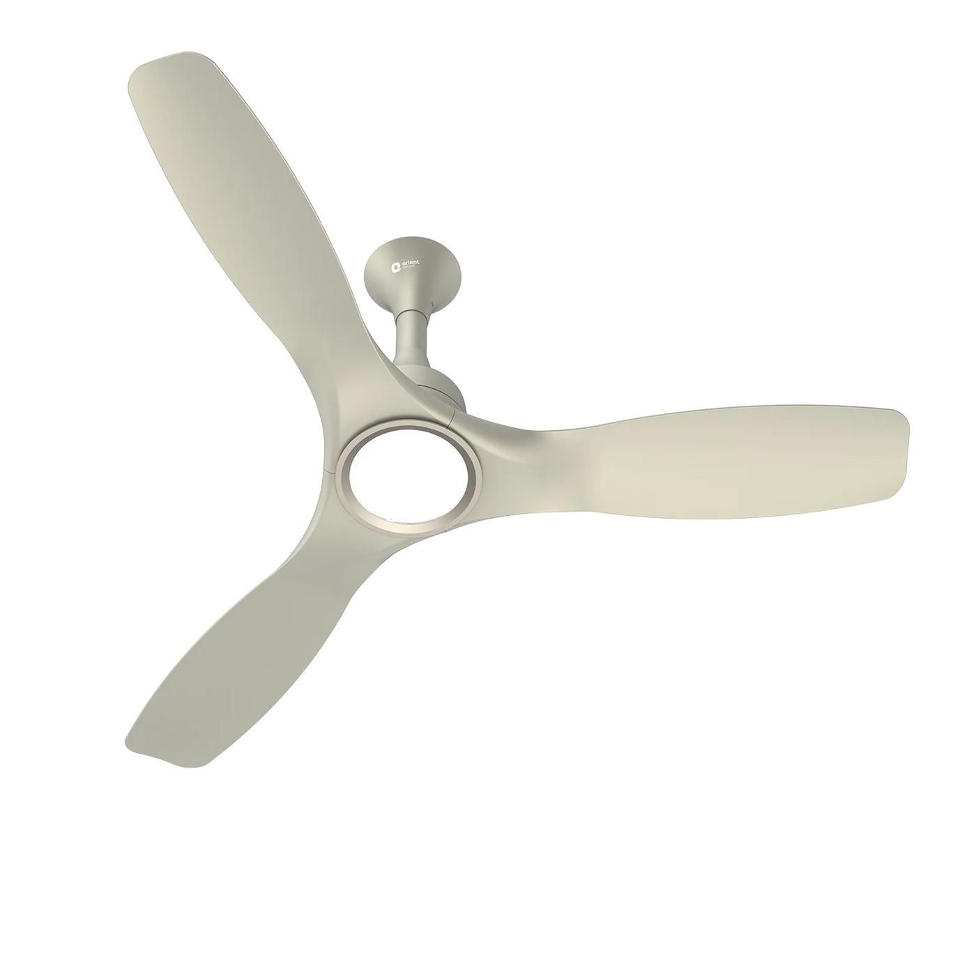 FANS