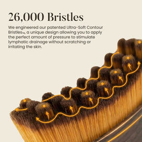 Lymphatic Contour Brush for Snatched Face